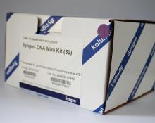 Syngen DNA Mini Kit